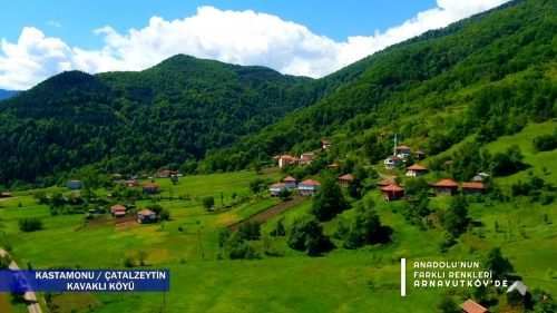 Kastamonu Çatalzeytin Kavaklı Köyü